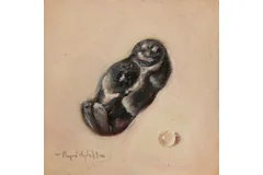 No frame image, click to enlarge