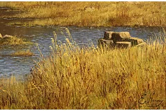 Signature image, click to enlarge