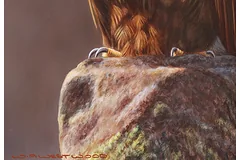 Signature image, click to enlarge