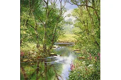 No frame image, click to enlarge