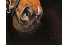Signature image, click to enlarge