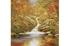 No frame image, click to enlarge