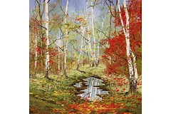 No frame image, click to enlarge