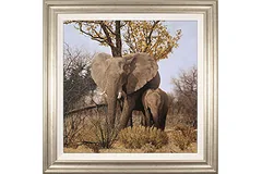 Large image, click to enlarge