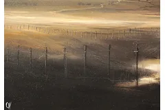 Signature image, click to enlarge