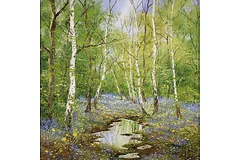 No frame image, click to enlarge