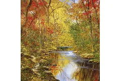 No frame image, click to enlarge