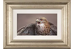 Large image, click to enlarge