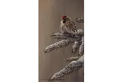 No frame image, click to enlarge