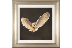 Large image, click to enlarge