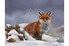 No frame image, click to enlarge