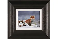 Large image, click to enlarge
