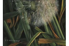 Signature image, click to enlarge