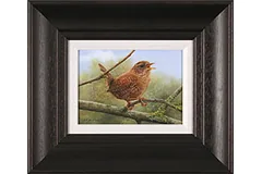 Large image, click to enlarge