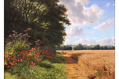 No frame image, click to enlarge