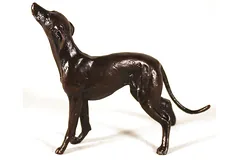No frame image, click to enlarge