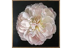 Large image, click to enlarge