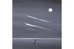 No frame image, click to enlarge