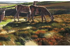 Signature image, click to enlarge