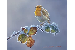 Large image, click to enlarge