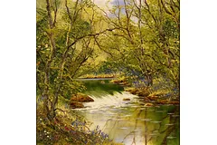 No frame image, click to enlarge