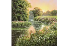 No frame image, click to enlarge