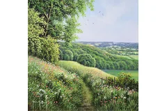 No frame image, click to enlarge