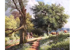 No frame image, click to enlarge