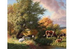 No frame image, click to enlarge