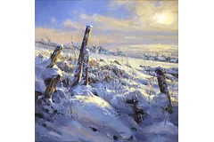 No frame image, click to enlarge