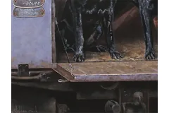 Signature image, click to enlarge