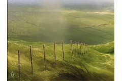 Signature image, click to enlarge