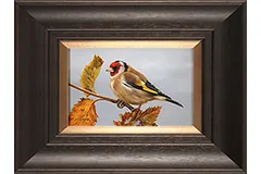 Large image, click to enlarge