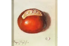 No frame image, click to enlarge