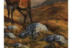 Signature image, click to enlarge