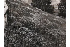 Signature image, click to enlarge