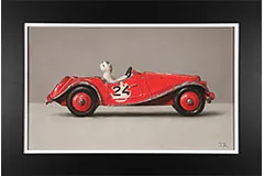 Large image, click to enlarge