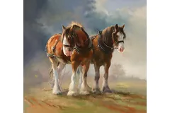No frame image, click to enlarge