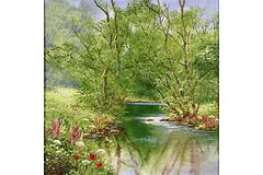 No frame image, click to enlarge