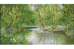 No frame image, click to enlarge