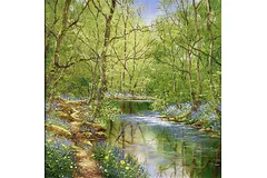 No frame image, click to enlarge