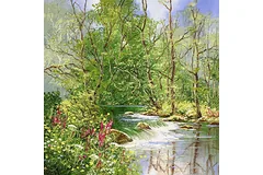 No frame image, click to enlarge