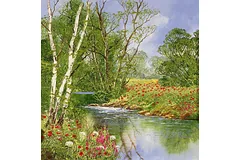 No frame image, click to enlarge