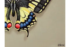 Signature image, click to enlarge
