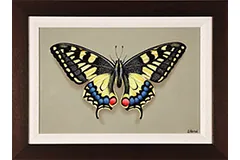 Large image, click to enlarge