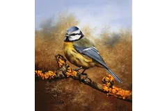No frame image, click to enlarge