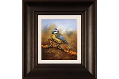 Large image, click to enlarge