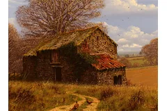 No frame image, click to enlarge