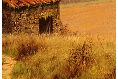 Signature image, click to enlarge