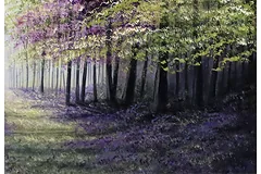 Signature image, click to enlarge